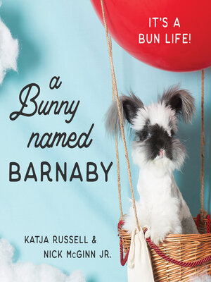 cover image of A Bunny Named Barnaby